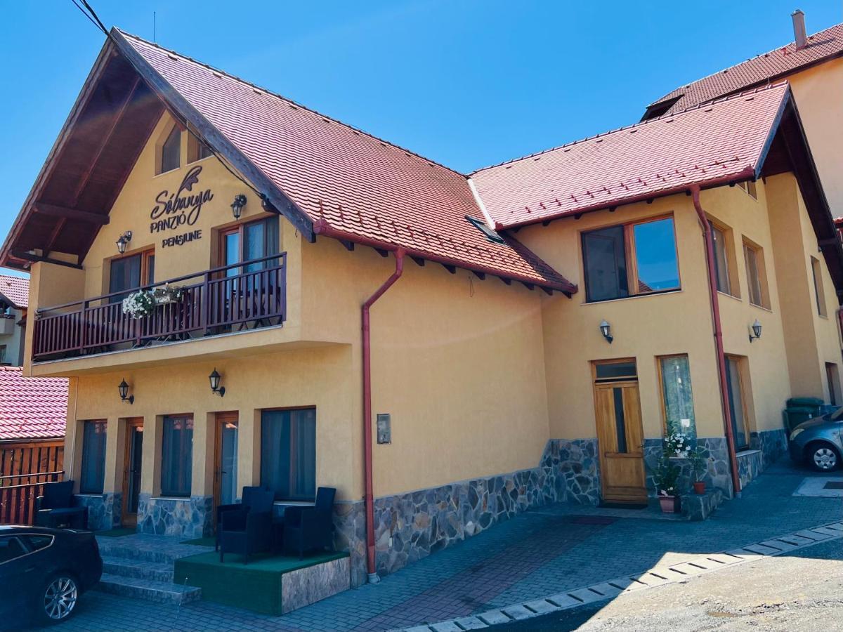 普拉伊德Sobanya Panzio住宿加早餐旅馆 外观 照片