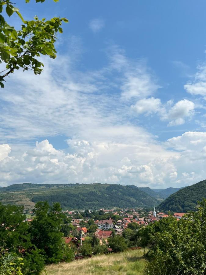 普拉伊德Sobanya Panzio住宿加早餐旅馆 外观 照片